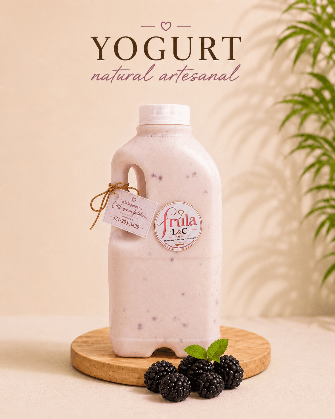 Vasito YOGURT NATURAL ARTESANAL DE MORA